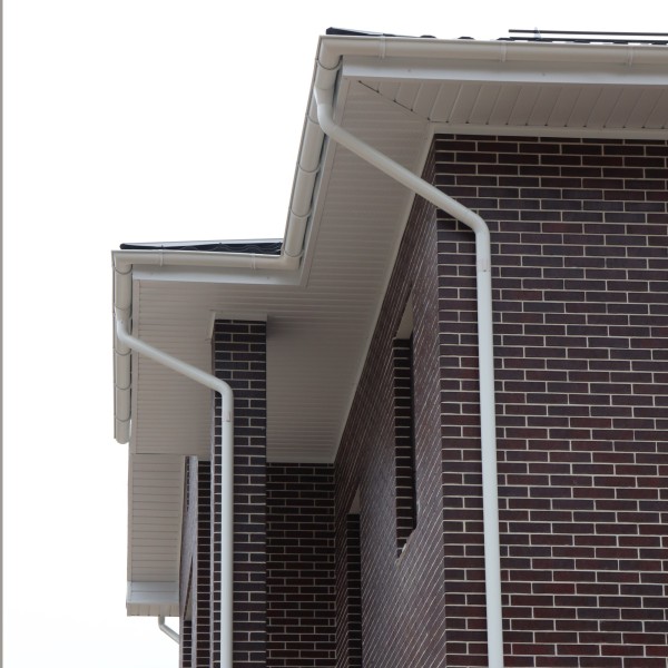 IMG_1261_1